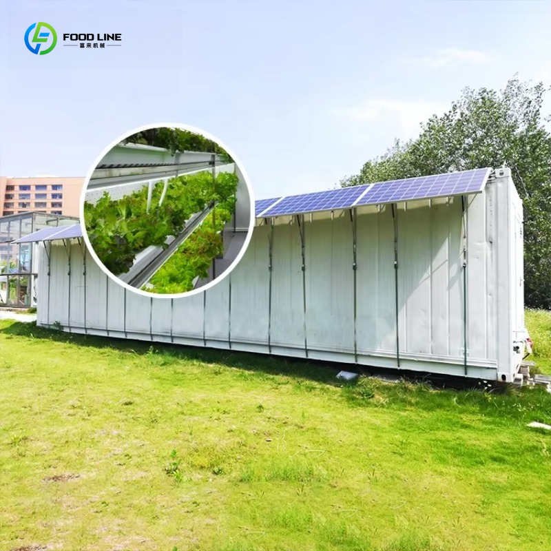 Organic Farming In Agriculture - Coltivatore Intelligente Personalizzato per Container Agricoli