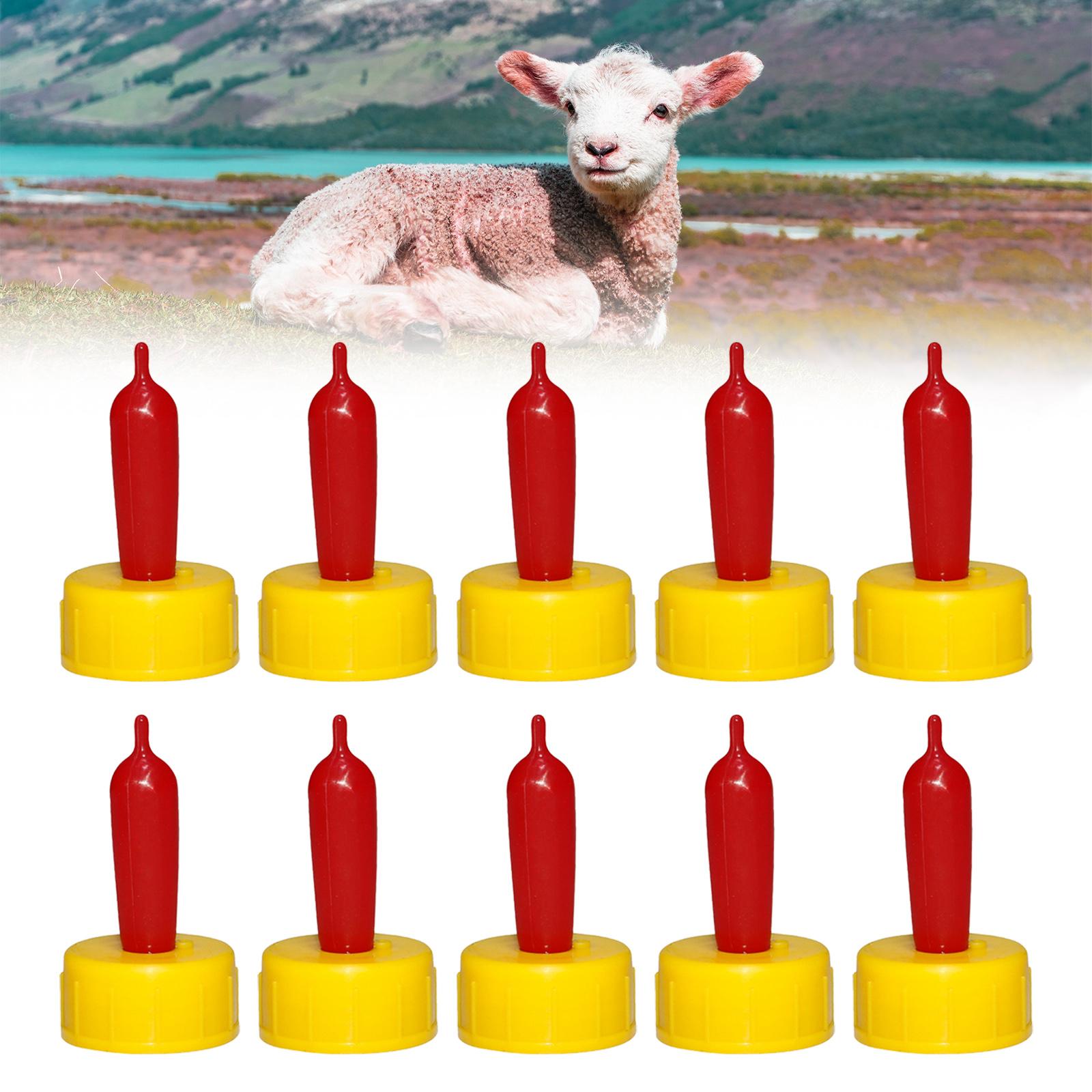 Succhietto in Gomma Morbida pe - Agriculture Farming Livestock recensione e prezzo