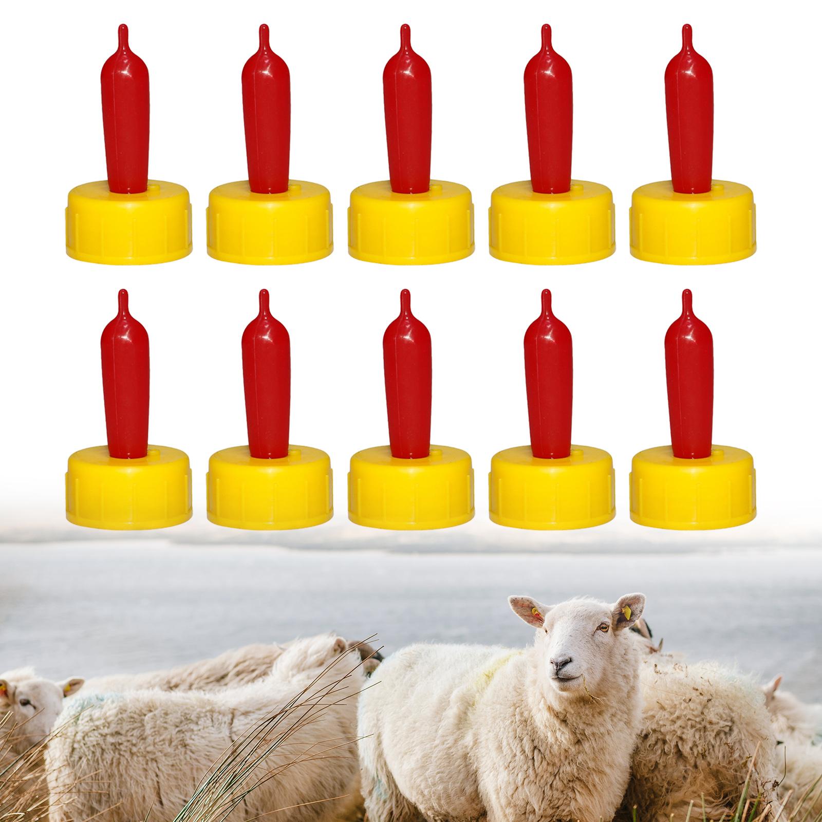 Succhietto in Gomma Morbida pe - Agriculture Farming Livestock recensione e prezzo