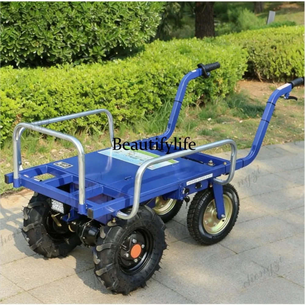 Tricicli elettrici a55 e carre - Agriculture Farming Livestock recensione e prezzo