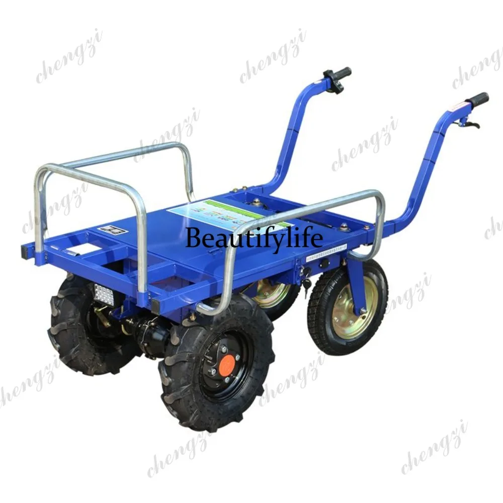 Tricicli elettrici a55 e carre - Agriculture Farming Livestock recensione e prezzo