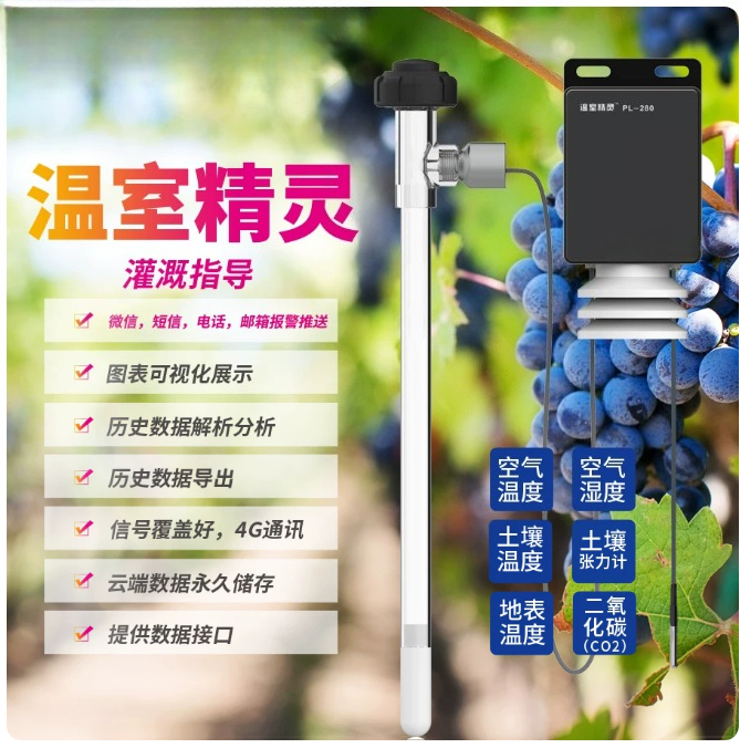 Tensiometro Agricolo Intellige - Precision Farming Smart Agriculture recensione e prezzo